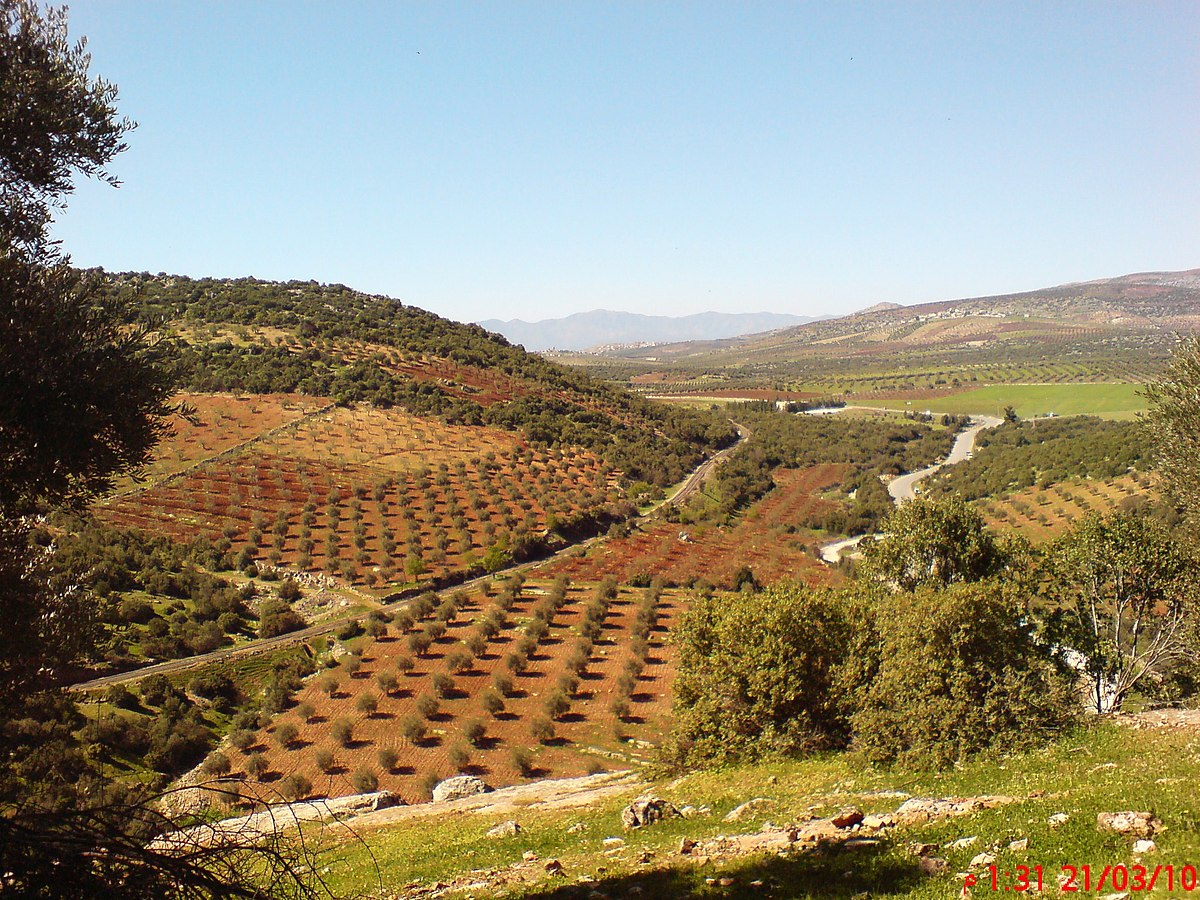 A lush river valley with mountains in the background
